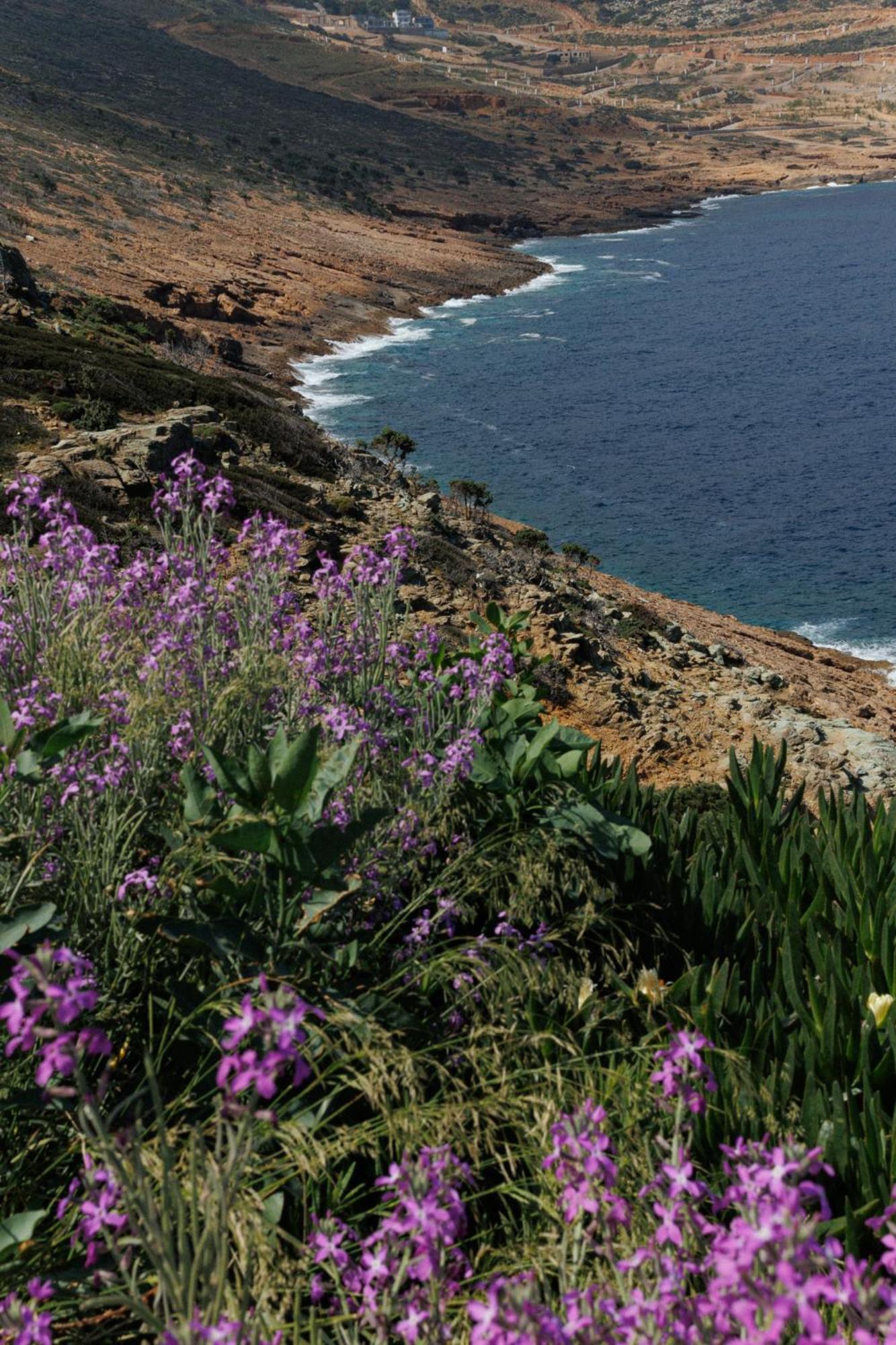 Rock Bay Villas - Luxury Villas In Crete 阿齐亚·佩拉加 外观 照片